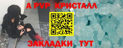 крисы Новозыбков