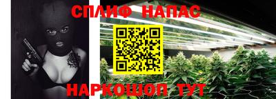 сатива Нальчик