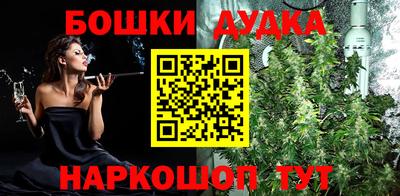 крисы Новозыбков