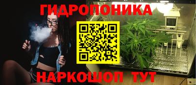 сатива Нальчик