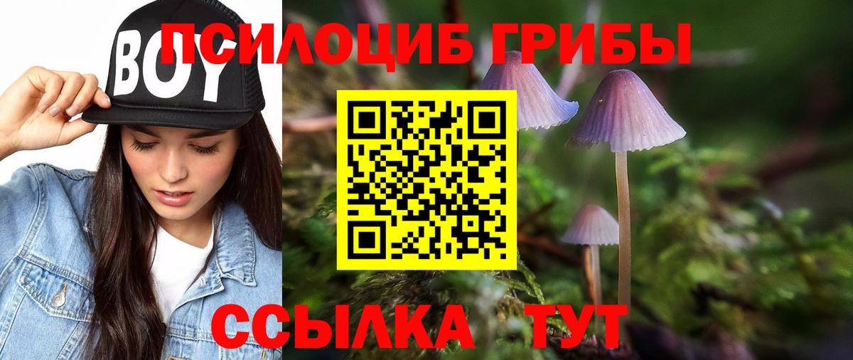 Псилоцибиновые грибы мицелий Орехово-Зуево